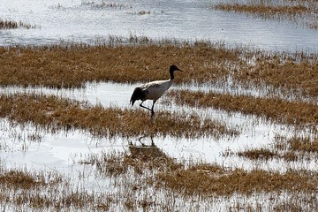 _MG_2279.jpg