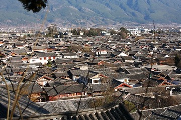 _MG_1824.jpg