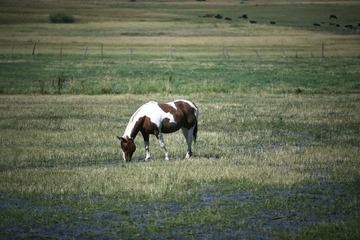 IMG_9304.JPG