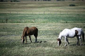 IMG_9305.JPG
