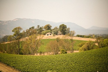 IMG_0875.jpg