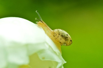 DSC_1447_1`.jpg