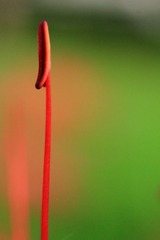 IMG_0753.JPG