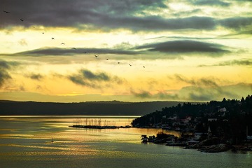 IMG_8222-1WEB