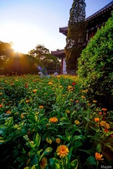 游园惊梦-13.jpg
