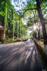 游园惊梦-23.jpg