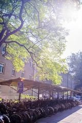 游园惊梦-34.jpg