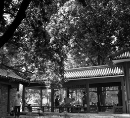 地坛公园的下午