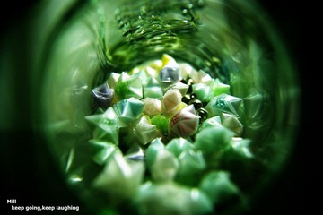 _DSC0057_