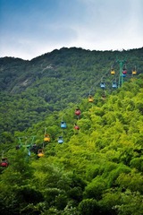 nEO_IMG_南山竹海5.jpg