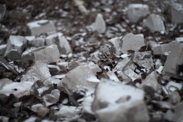 _MG_6015.JPG