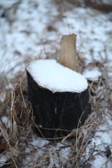 _MG_6018.JPG
