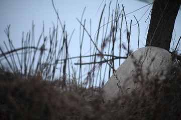 _MG_6028.JPG