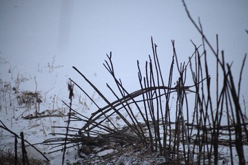 _MG_6032.JPG