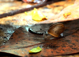 DSC_0195-2.jpg