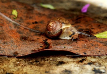 DSC_0206.jpg