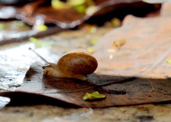 DSC_0209.jpg