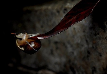 DSC_0227.jpg