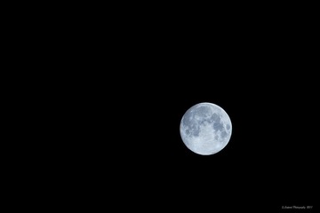_MG_0617.jpg