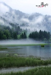 IMG_0069ps