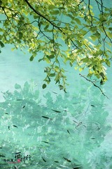 IMG_0540ps
