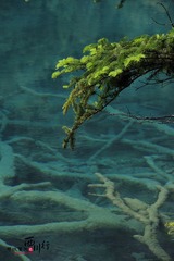 IMG_1059ps