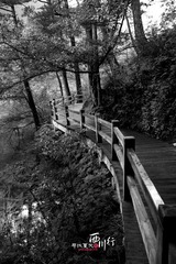 IMG_1263ps
