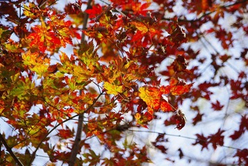 _IGP8187.JPG