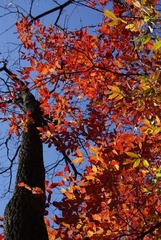 _IGP8197.JPG