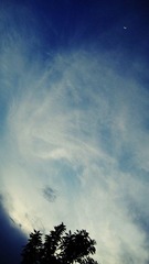 IMG_0202A.jpg