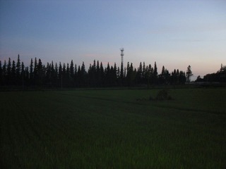 SAM_0535