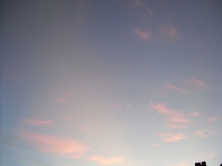SAM_0536