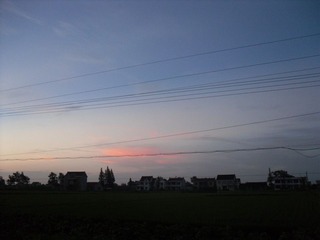 SAM_0537