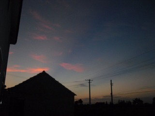 SAM_0539