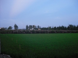 SAM_0542