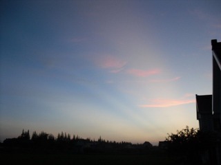 SAM_0543