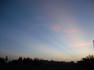 SAM_0544