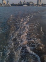IMAG0282.jpg
