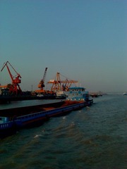IMAG0295.jpg