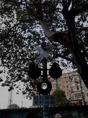 IMAG0356.jpg