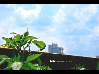 20110708-DSC06198
