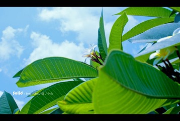 20110708-DSC06206