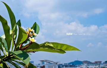 20110708-DSC06207