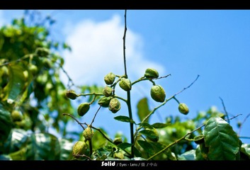 20110708-DSC06210