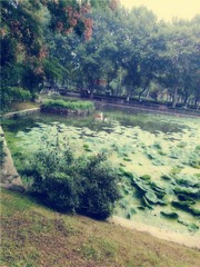 PuKou Park、