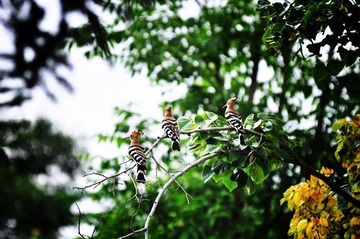 DSC_0519.jpg