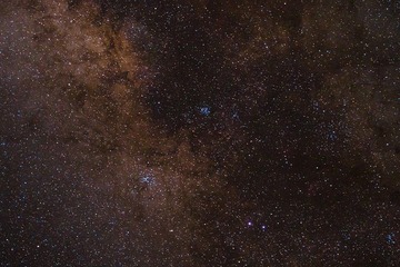 Y8210530.jpg