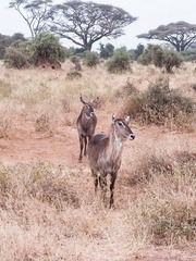 Y8180434.jpg