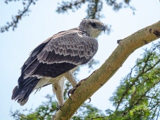 YG252361.jpg