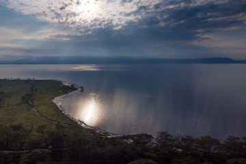 Y8250866.jpg